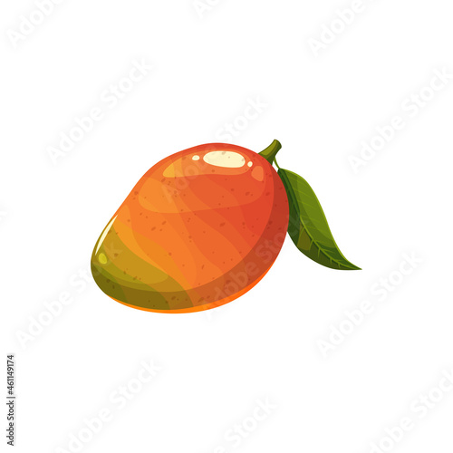 Mango fruit, vector fresh tropical juicy plant. Whole unpeeled exotic fruit with orange peel and green leaf on stem. Ripe organic product, cartoon element for design isolated on white background