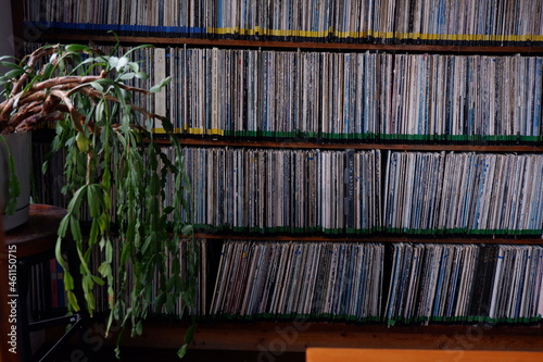 vinyl library