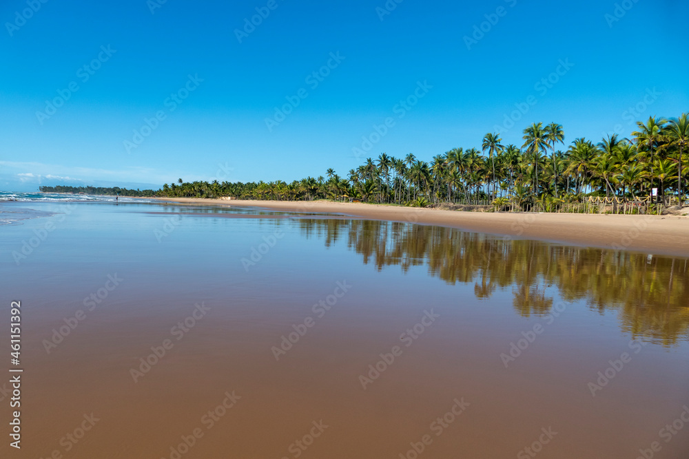 amazing, amazing landscape, bahia, bahia beach, bahia brazil, beautiful, blue, clear water, coast, coast line, coconut tree, crystal, environment, horizon, horizontal lines, iconic, idyllic, idyllic b