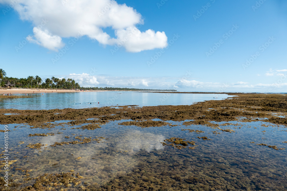 Idyllic beach with crystal clear water in Taipus de Fora, Marau, State of Bahia, Brazil