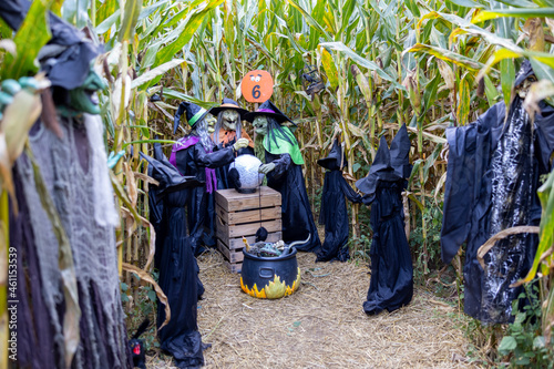 Halloween witches standing together and cooking in corn maze in the Cuyahoga Valley National Park, Cleveland, OH. 