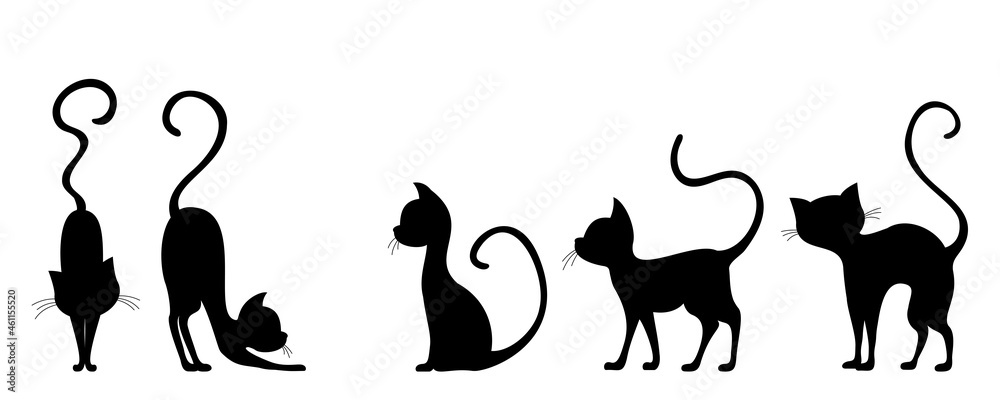 Set of silhouettes of elegant cats on a white background