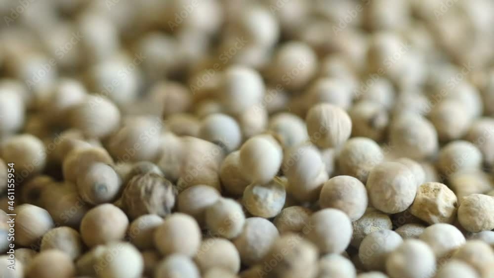 Peppercorns falling close up with rotation. Macro shot. Dried wite pepper grains. Peppercorns falling close up with rotation. Macro shot. Dried wite pepper grains.