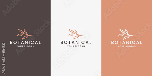 minimalist beauty botanic logo design vector with line art style