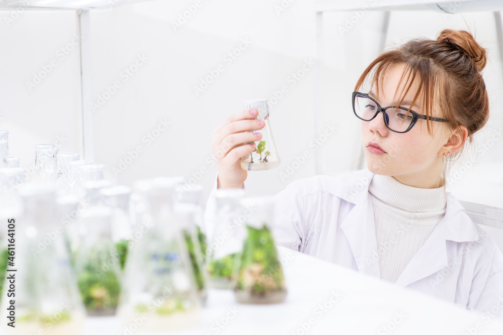 In a biological laboratory, a girl assistant examines a test tube with plants grown in it on a nutrient solution. Eco-friendly plants for farms In a biological laboratory, a girl assistant examines a test tube with plants grown in it on a nutrient solution. Eco-friendly plants for farms