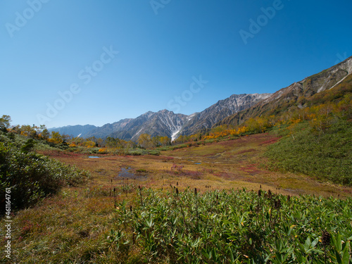 紅葉の栂池自然園（展望湿原）