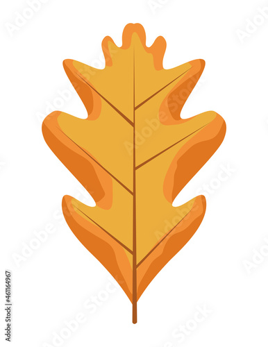 autumn dry leaf