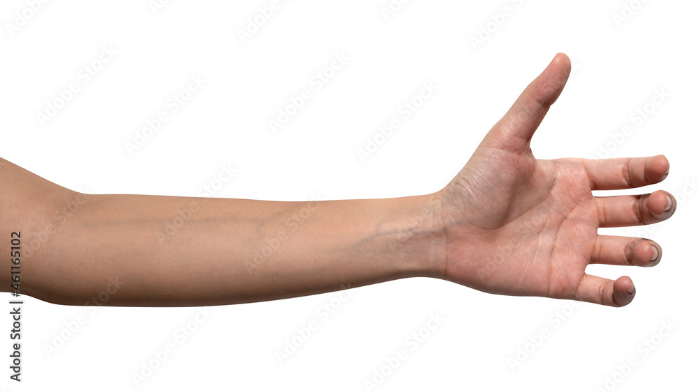 isolated of woman hand holding something like a bottle or can. isolated of woman hand holding something like a bottle or can.