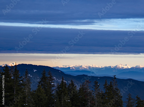 Fototapeta Naklejka Na Ścianę i Meble -  A view of a forest with snow covered mountains