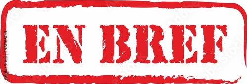 tampon en bref