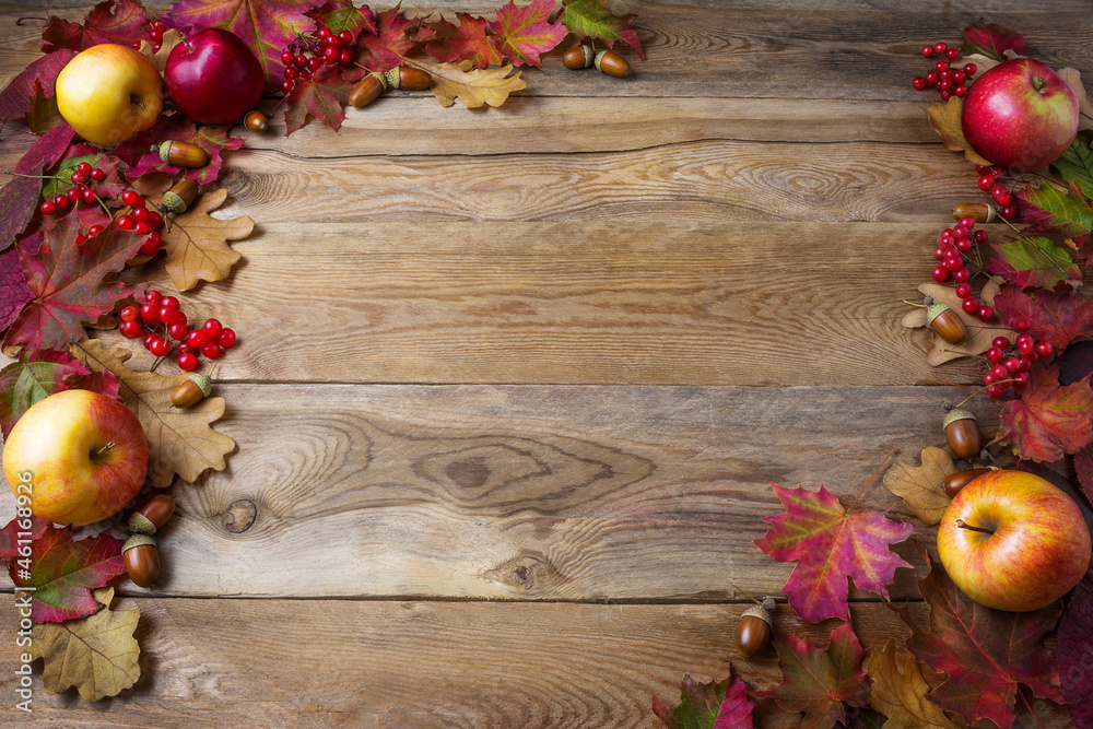 Frame of apples, acorns, berries and fall leaves on dark wooden background