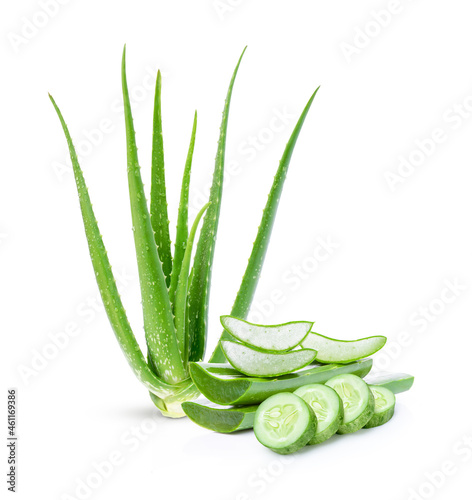 Aloe vera and cucumber on white