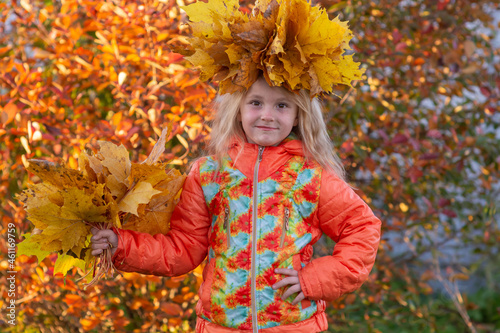 Autumn. A girl with a wreath of maple leaves on her head holds fallen autumn yellow beautiful maple leaves in her hands.