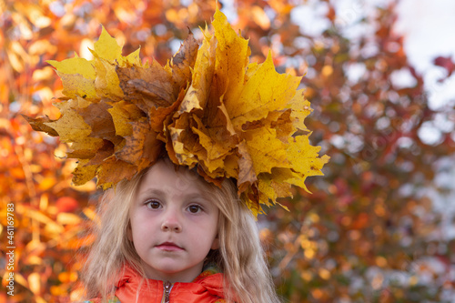 Autumn. Portrait of a girl with a wreath of yellow fallen maple leaves on her head in autumn colors. 