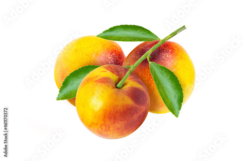 Bunch of ripe peaches on the branch with leaves isolated on white background. 