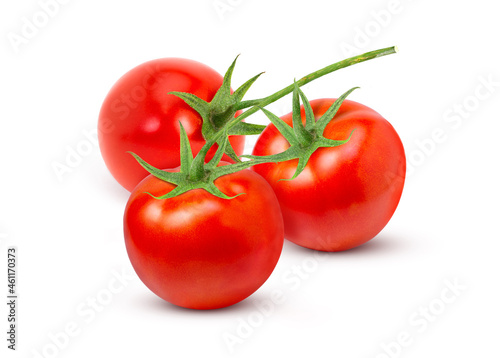 Branch of tomatoes with green leaves isolated on white background.