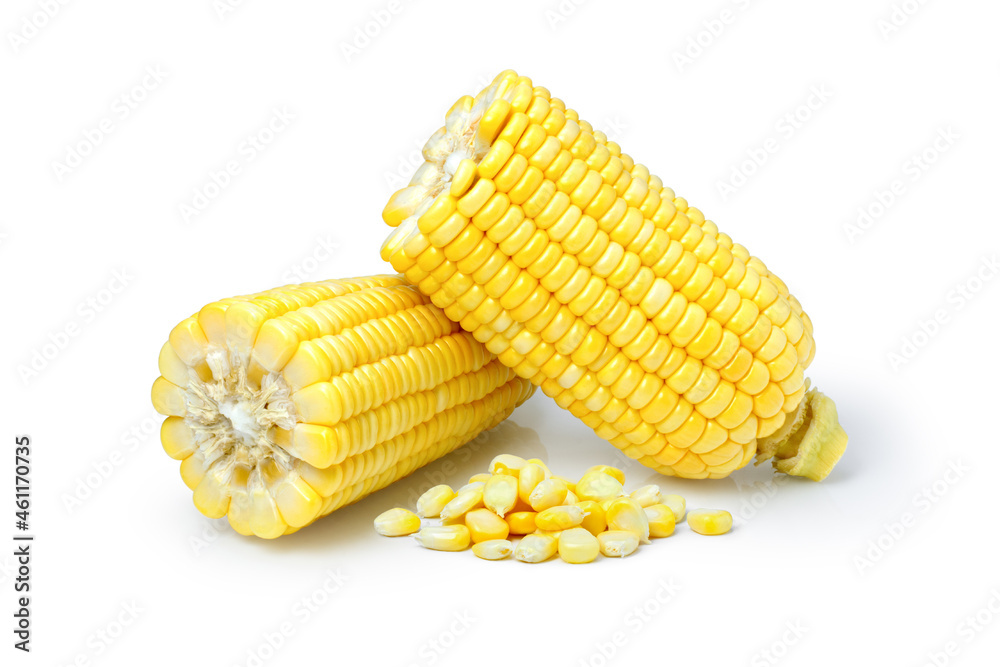 corn isolated white corn isolated white