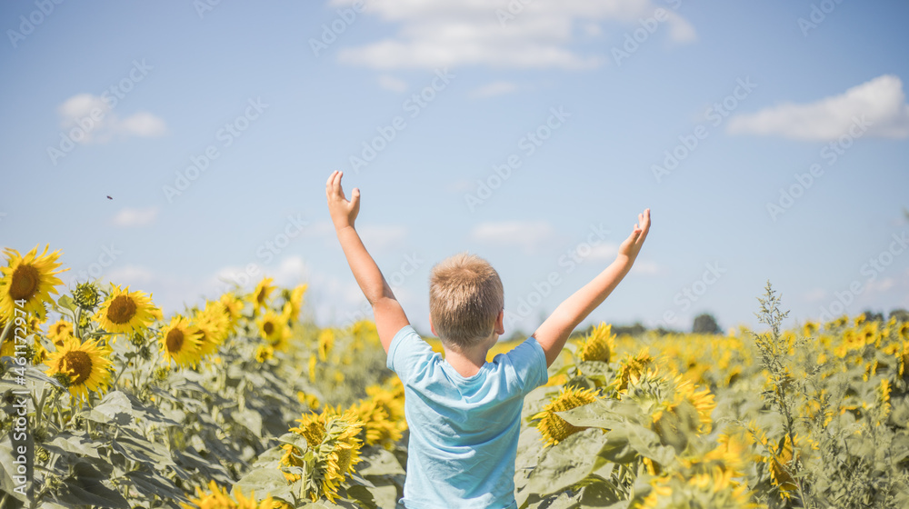 Happy child field Freedom and happiness concept on sunflower outdoor. Kid having fun in green spring field against blue sky background. Healthy and active lifestyle concept Happy child field Freedom and happiness concept on sunflower outdoor. Kid having fun in green spring field against blue sky background. Healthy and active lifestyle concept