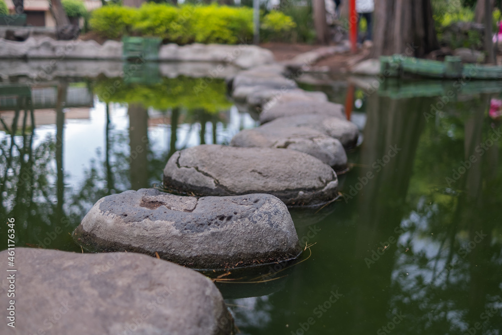 Stones path on pond with blurry trees as background
