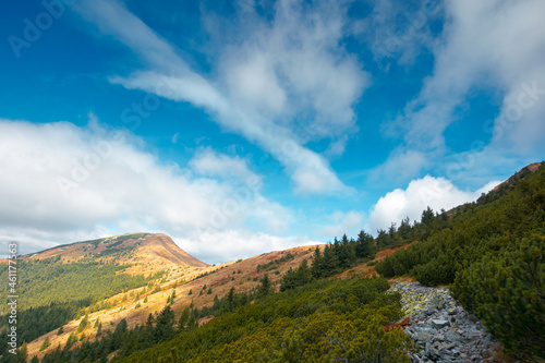 autumn landscape in mountains. peak in dappled light in the distance. colorful slopes and meadows on the hillside. wonderful cloudscape on a blue sky above the ridge
