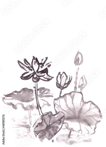 blooming lotuses on the lake chinese style ink drawing on rice paper