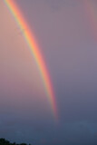 A rainbow against a blue-pink sky. Evening after the rain.