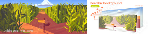 Leinwand Poster Parallax background cornfield with wooden road pointers and high green plant stems