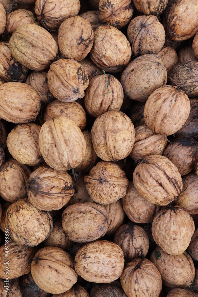 walnuts on wooden background walnuts on wooden background