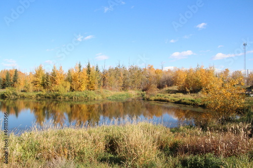 Autumn On The Pond, Pylypow Wetlands, Edmonton, Alberta