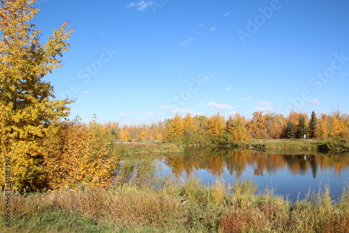 Autumn On The Wetlands, Pylypow Wetlands, Edmonton, Alberta