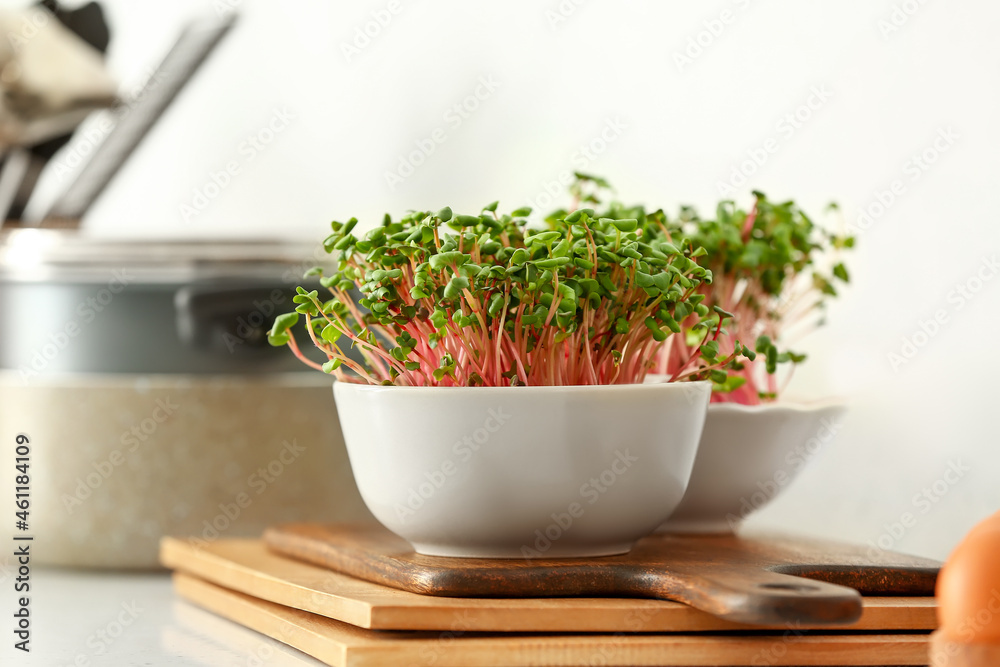Bowls with organic micro green sprouts on table Bowls with organic micro green sprouts on table