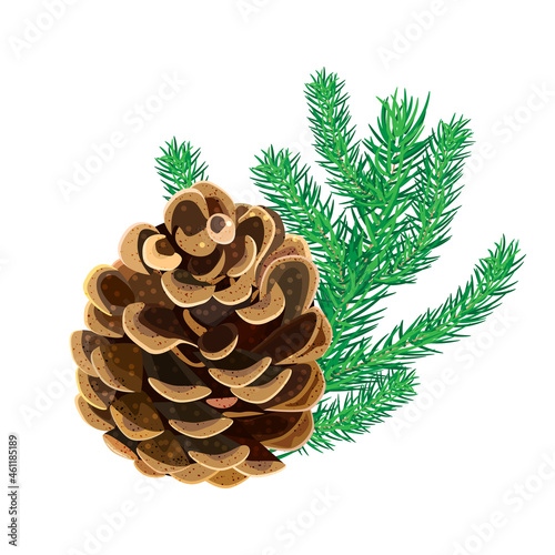Cone with fir twig isolated on white background. Pine cone with branch of spruce needles. Coniferous winter plant. Christmas decoration, winter symbol. New Year decor.Winter design.Vector illustration