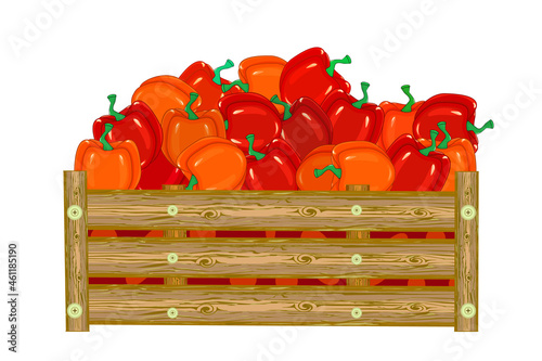 Wooden box with bell peppers isolated on white background. Harvesting vegetable. Fresh eco red sweet paprika in crate. Organic vegetable farm. Basket with garden products. Stock vector illustration