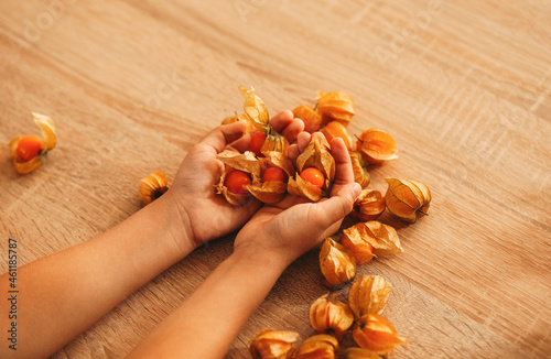 Flower of Physalis in children's hands photo