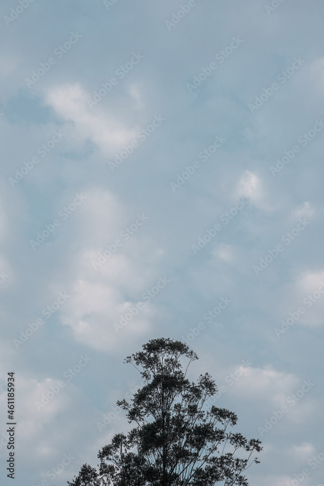 beautiful sky background with clouds beautiful sky background with clouds