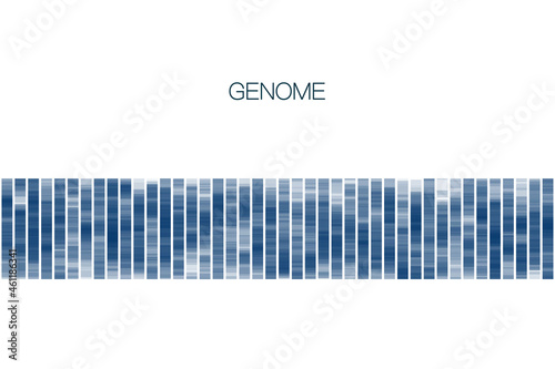 Big genomic data visualization