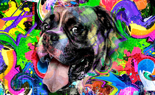 dog in the garden