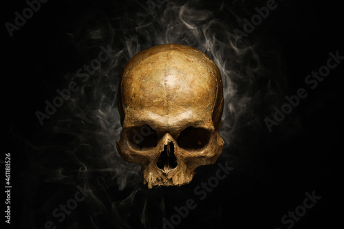 Human skull with mist on dark background