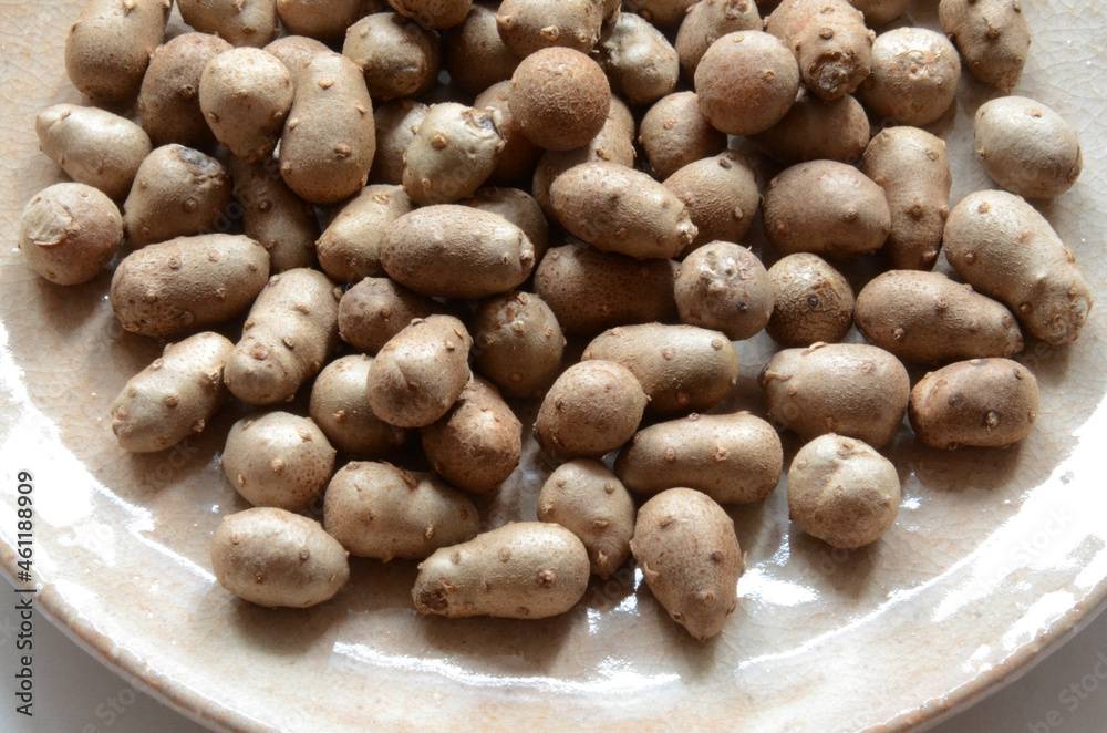 Yam Bulbil as healthy food. The part of the bud that has accumulated nutrients and has become enlarged.