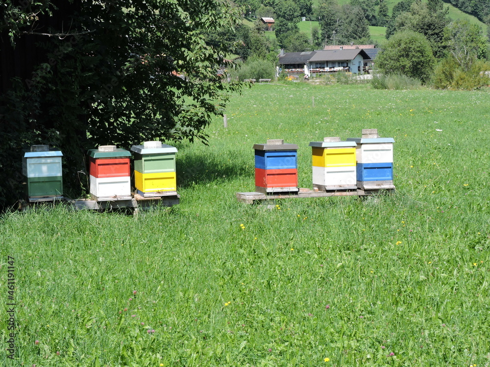 bunte Bienenstöcke auf der Wiese bunte Bienenstöcke auf der Wiese