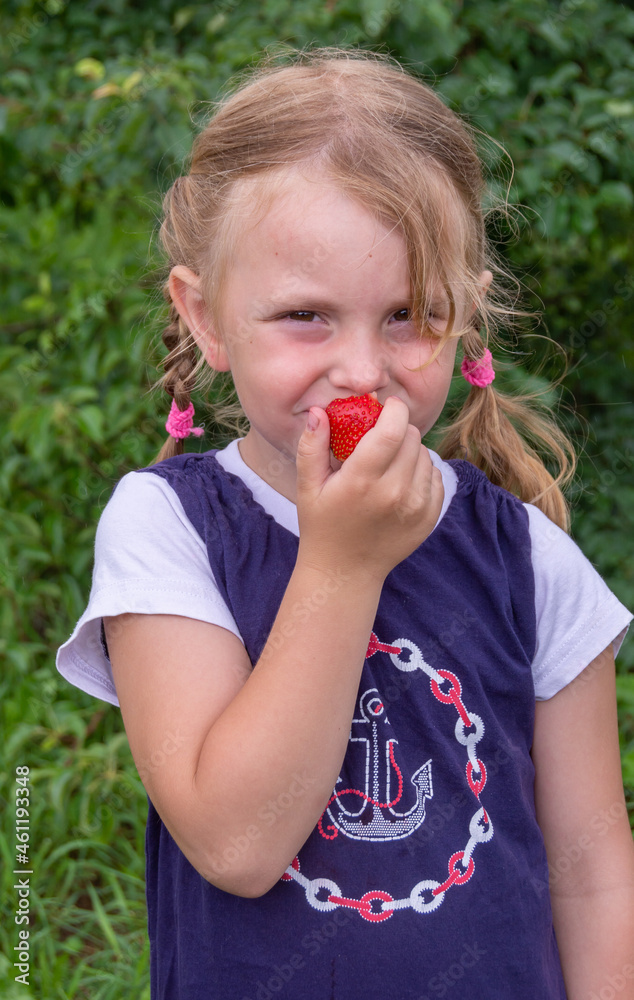 The girl eats ripe juicy red fragrant strawberries. The girl eats ripe juicy red fragrant strawberries.