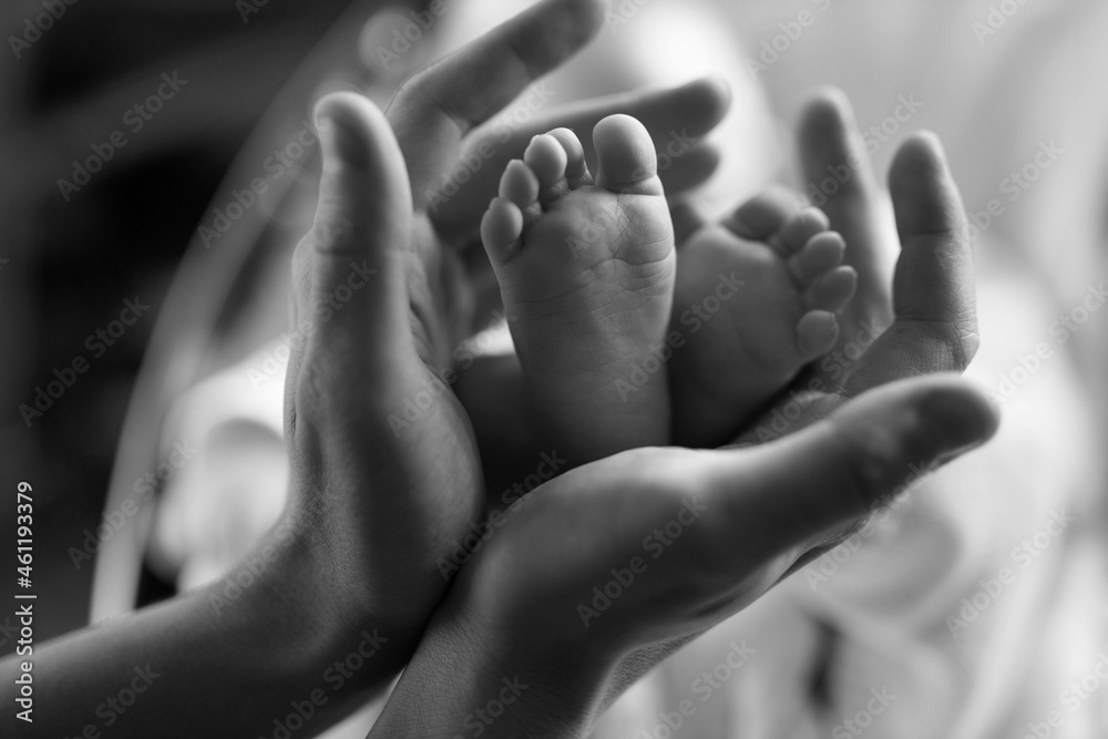 Children's feet in the hands of the father. Father and his child. Happy family concept. Beautiful conceptual image of parenting. Black and white photo.