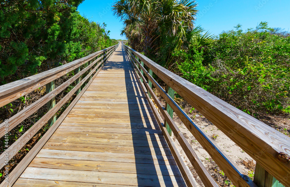 Boardwalk in Everglades Boardwalk in Everglades