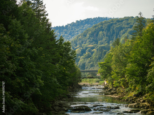 Autumn forest and river.