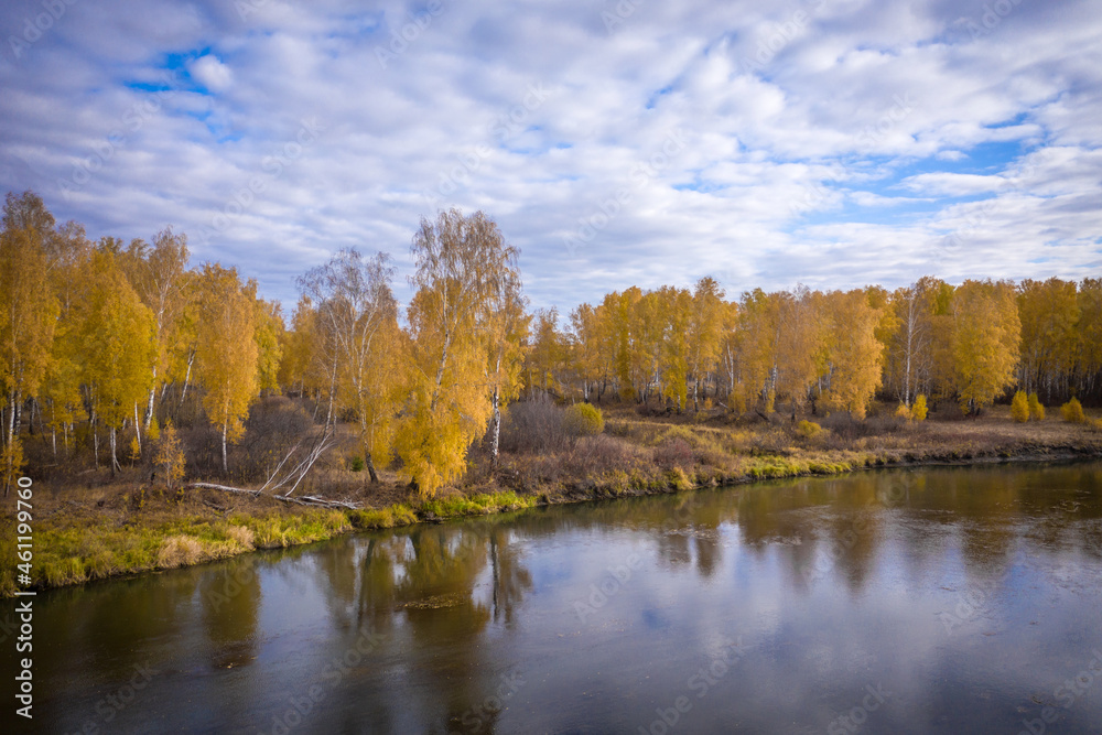 autumn trees on the river