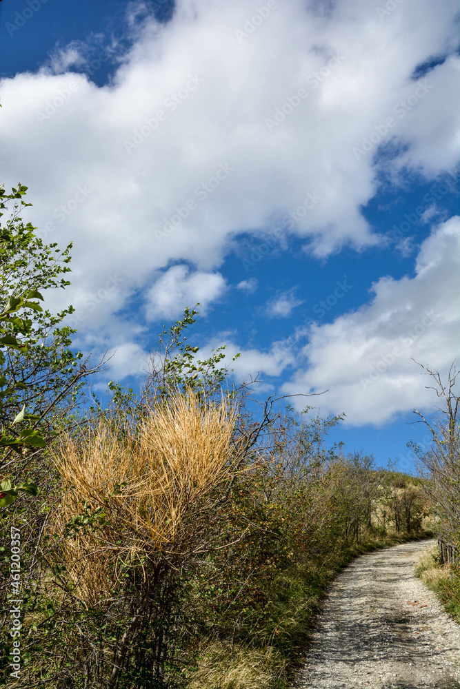 Obraz premium sentiero