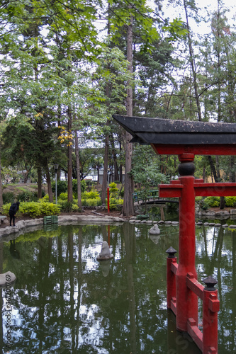 Traditional Japanese gate and pond in Masayoshi Ohira Park photo