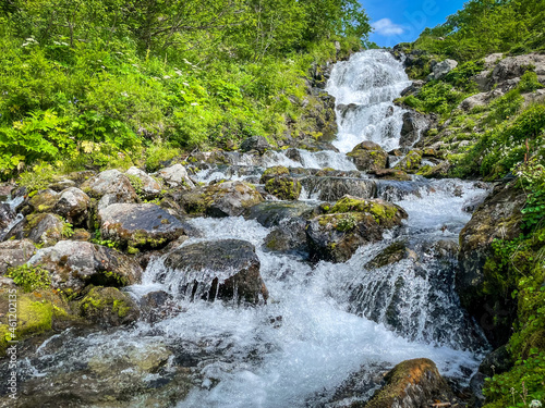 waterfall in the forest