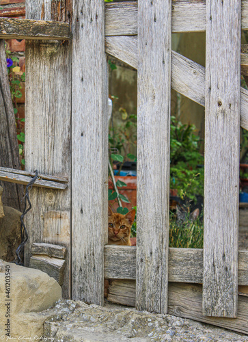 old wooden door