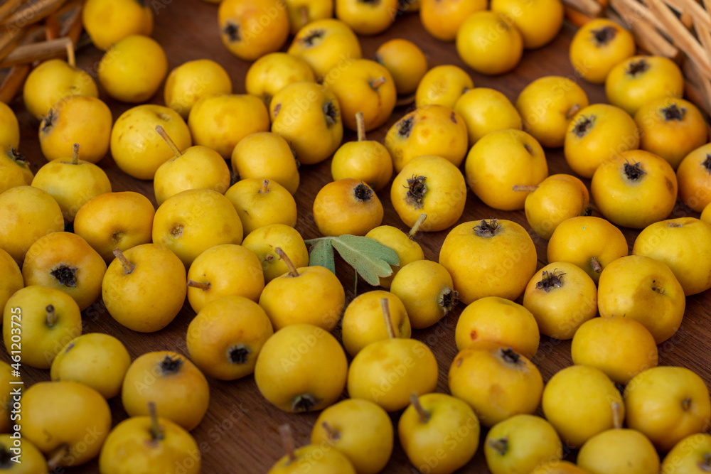 Close up of fresh ripe yellow hawthorn fruits, forest fruits. Close up of fresh ripe yellow hawthorn fruits, forest fruits.